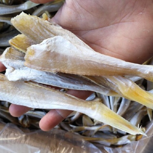 北海小鱼干 天然海域深海产品角肉鱼干