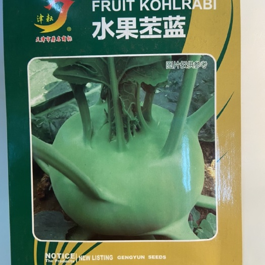 天津 水果苤蓝种子，球型扁圆,球色鲜绿,球面光滑,叶片少,叶痕浅,