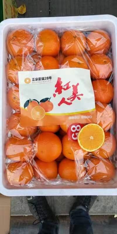 莲花县红美人柑桔 爱媛28正宗红美人柑橘新鲜甘甜多汁现摘现发