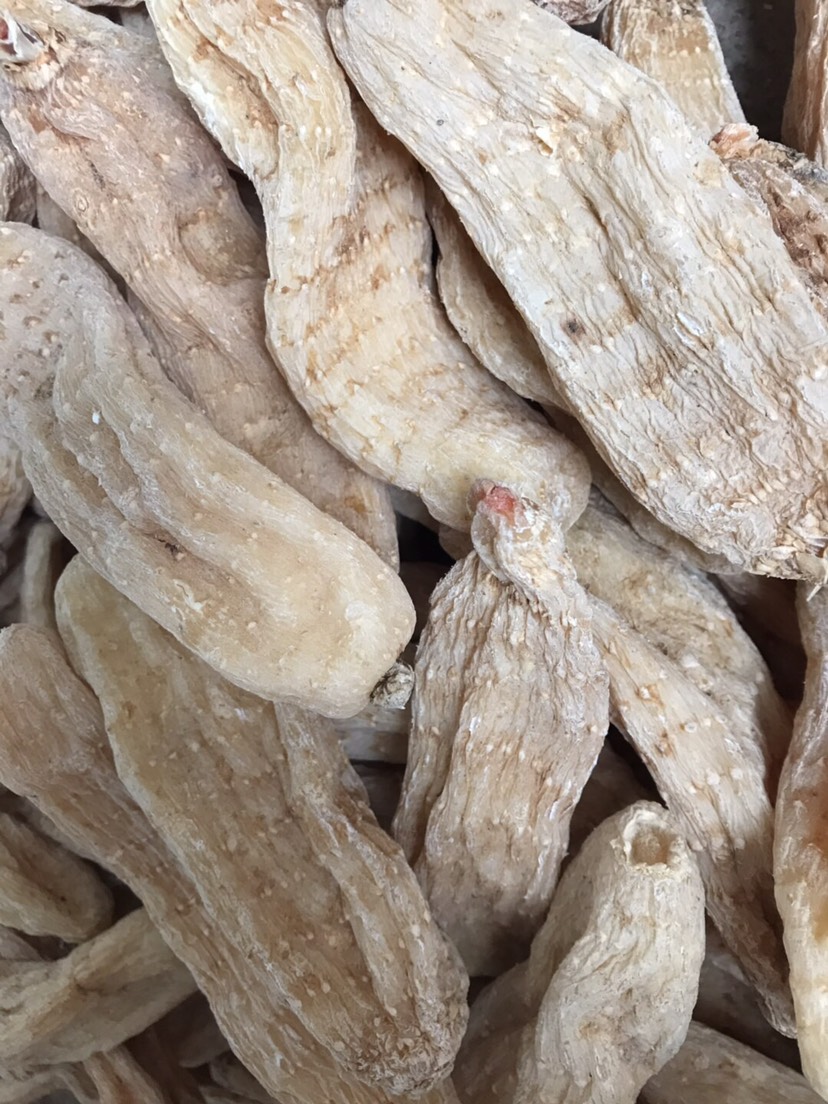 云南丽江红天麻 正品无硫磺天麻500克可磨粉切片包邮