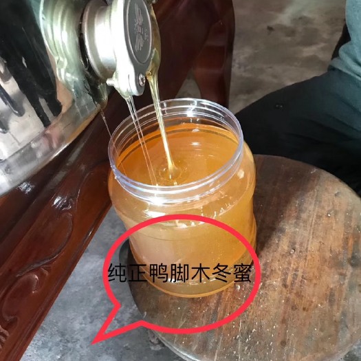 连山县鸭脚木蜜 塑料瓶装 2年以上 