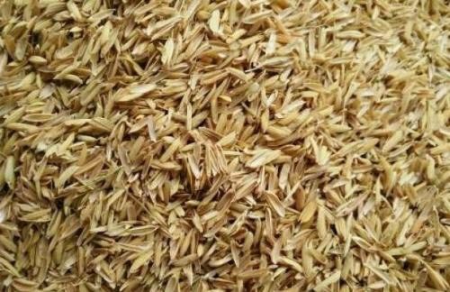 压缩稻壳 普通稻壳