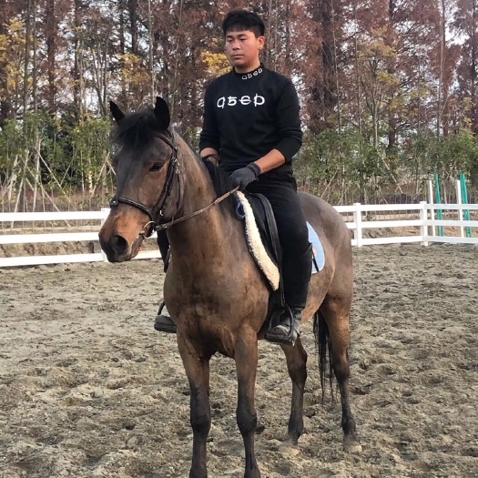 杭州 半血教学马