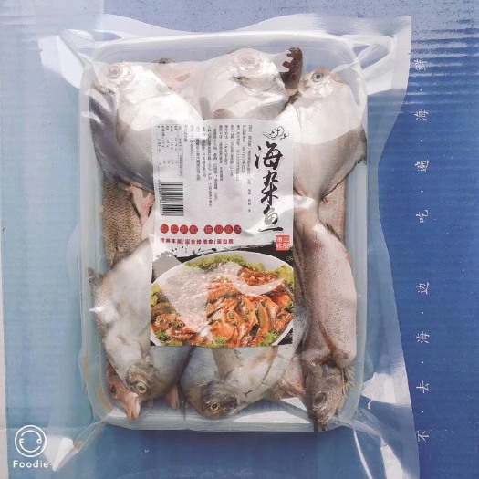 丹阳市冷冻海鱼 海杂鱼 鲜活 现杀 新鲜海鲜水产 支持领样 厂家直销