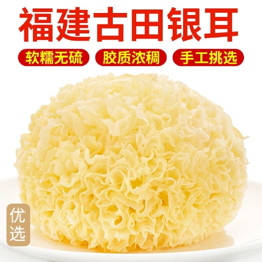 古田县银耳福建古田银耳白木耳优质新鲜干货银耳批发
