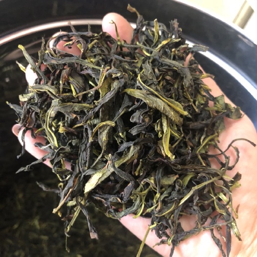 汕头广东单枞 正宗潮州凤凰单丛
