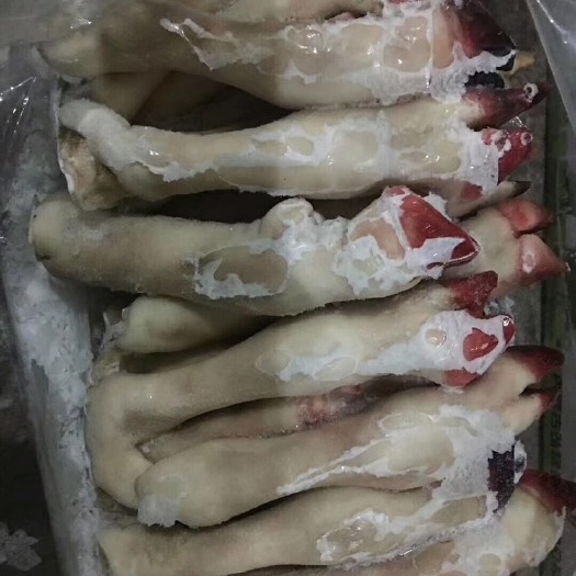 锡林浩特羊蹄