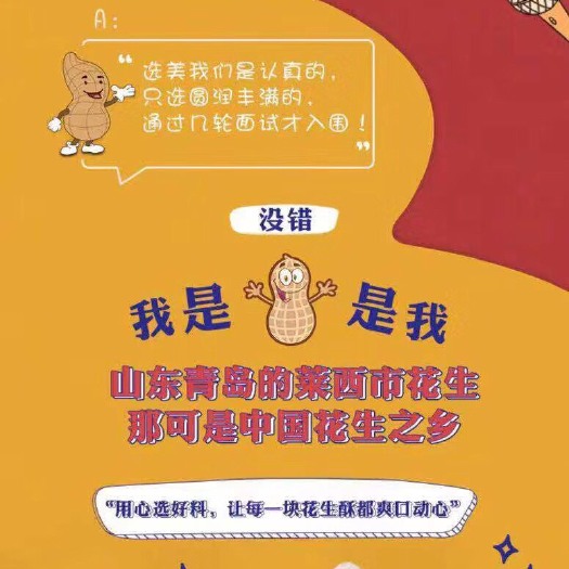 广州 花生酥 芝麻酥 瓜子酥 年货最火最好卖的产品，配送广告和销售