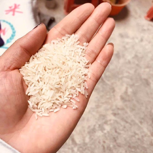 南宁丰良优系列 丰良优