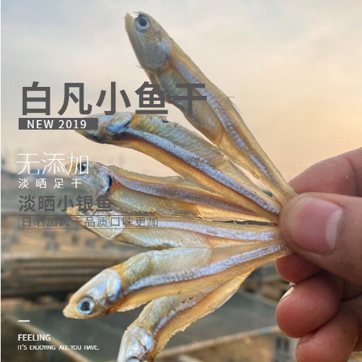 北海正宗北部湾深海海域淡晒干小鱼干