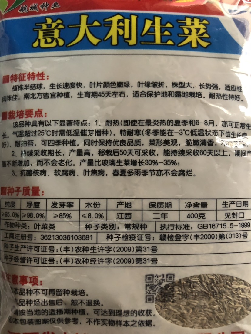 意大利半结球生菜 全年耐抽苔生菜 四季生菜种子袋装400克