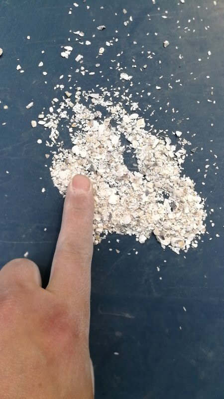 连云港厂家直销批发牡蛎贝壳粉水洗高钙贝壳粉