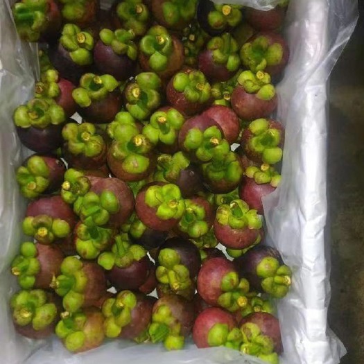 徐州 印尼山竹