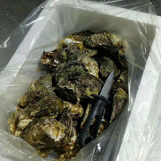 诏安县鱿鱼干 最近有活动哦。。。年底海鲜干货，生蚝都有大货！！要的赶紧。。