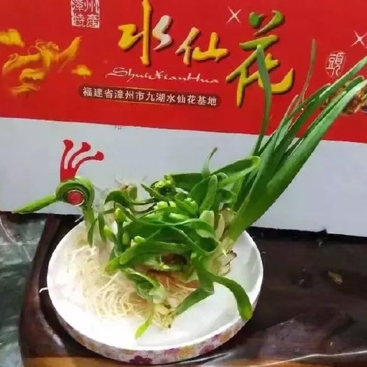 漳州 雕刻的水仙花，