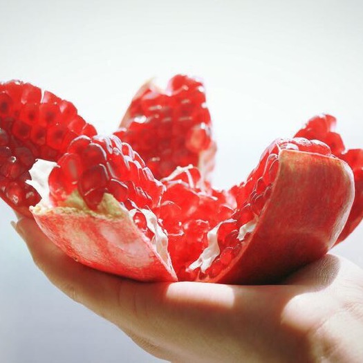 昆明 石榴
