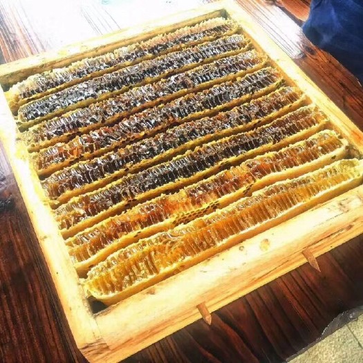 南漳县 土蜂蜜