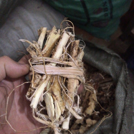 丰顺县 五指毛桃根无硫小扎吧