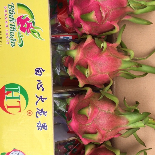 凭祥市 大量供应白心火龙果