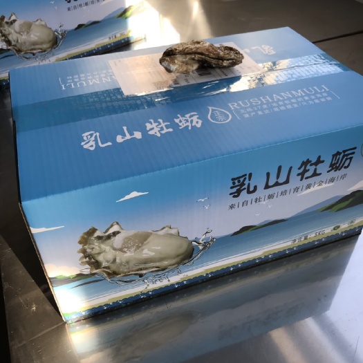 乳山市山东乳山牡蛎 正宗乳山生蚝，工厂直发，对接电商平台 社区团购 5斤精品礼盒