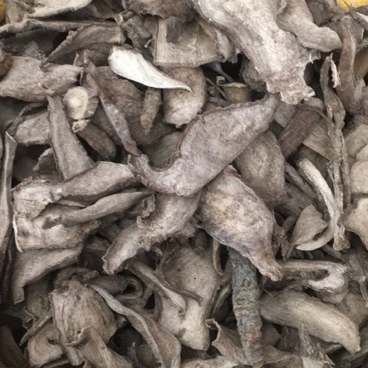 虎头茉莉 茉莉根臭茉莉入地老鼠中药材批发