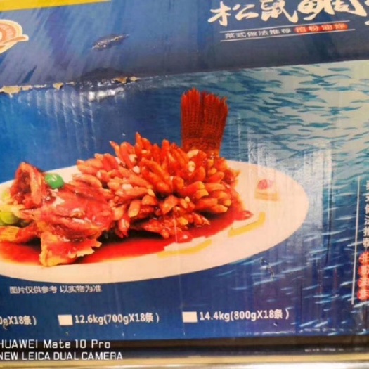 扬州 松鼠鲷鱼