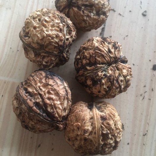 保山漾濞核桃  云南保山古树核桃别名小马茶，纯手工，无水洗，无硫磺