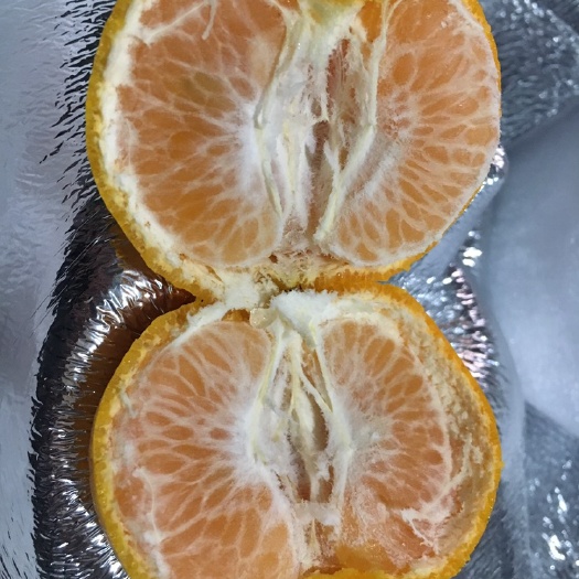  福建长泰芦柑