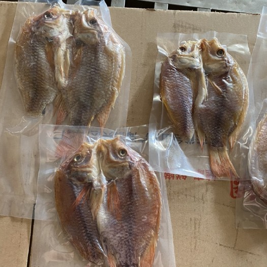 佛山红鲷鱼 彩虹鲷：自产自销，专业加工活鱼，鱼干，肉质鲜美，美味可口。