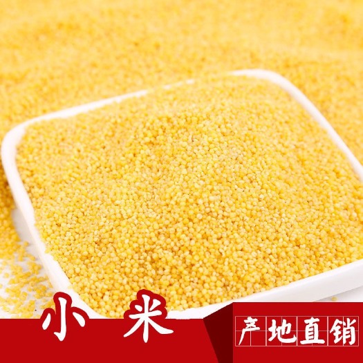  小黄米小米月子米有机小黄米小米粥食用小米农家月子