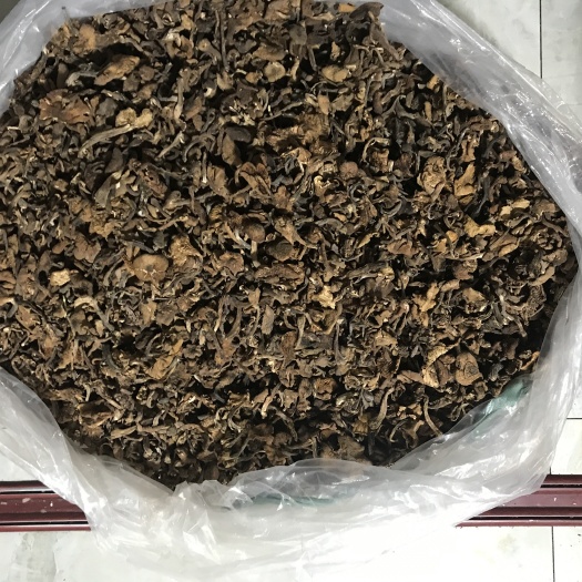 柳河县榛蘑  东北土特产