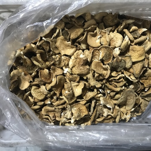柳河县 东北冬蘑菇，也叫圆蘑菇