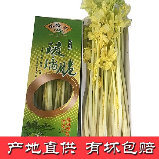  正宗马家沟芹菜可以生吃的水果芹菜