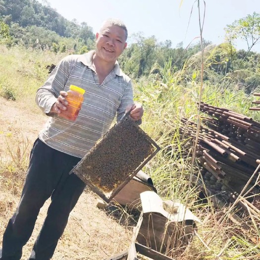梧州 岑氏土蜂蜜