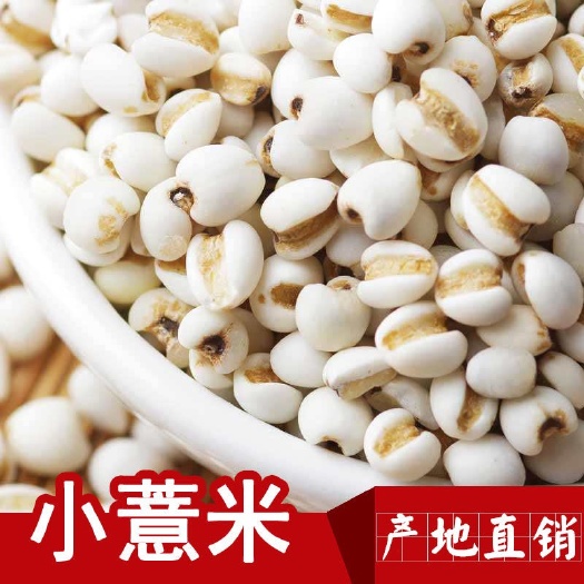兴义市 新货小薏米5斤 小薏仁米新米鲜贵州薏仁米薏米薏苡