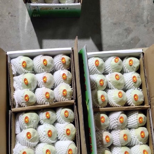 库尔勒市新疆水果。库尔勒香梨。水果  梨。
