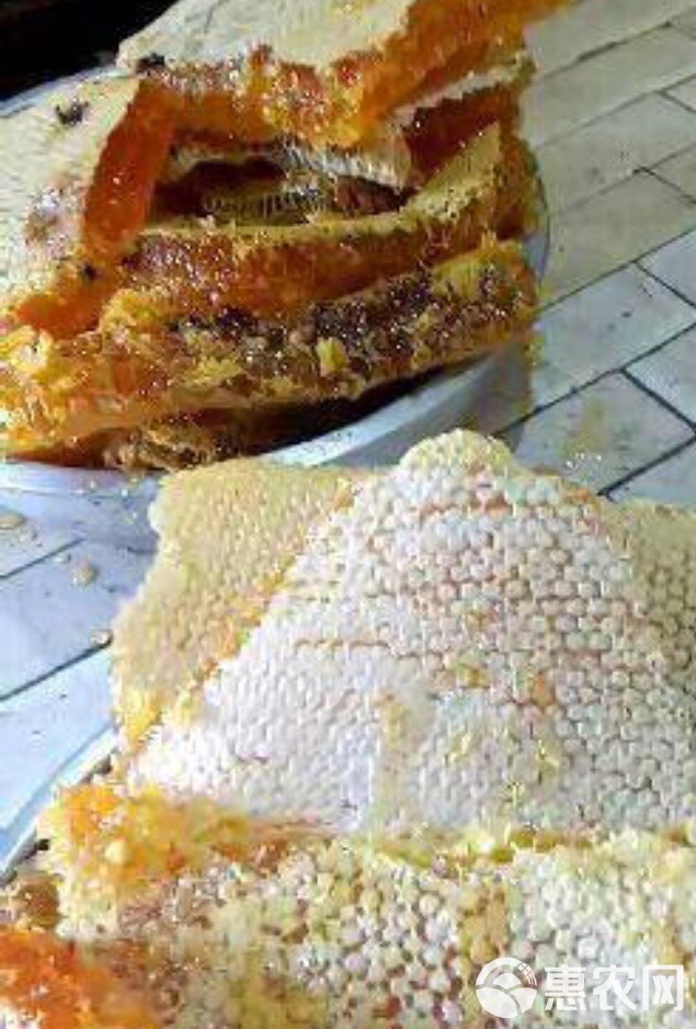 土蜂蜜、蜂蜜、野蜂蜜
