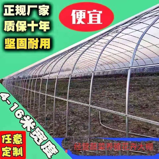 沭阳县 温室大棚骨架蔬菜大棚钢管养殖大棚骨架多肉大棚农业钢架大棚配件