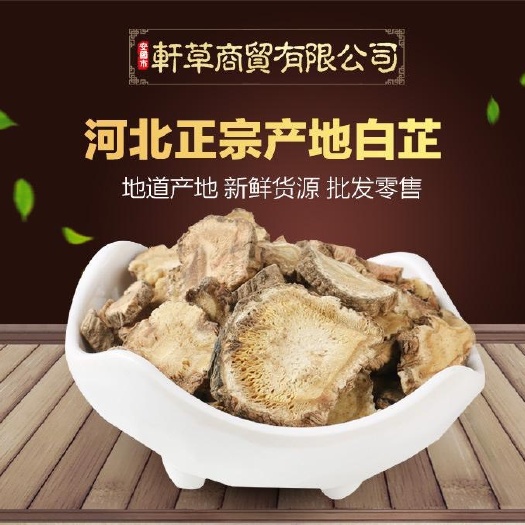 安国市正品！批发，零售！无硫！大片白芷片货！当调料！可打粉！