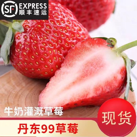 东港市 丹东马家岗正宗九九草莓，假一赔十！基地直销！