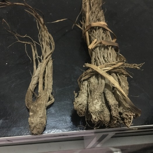 巫山 老品种当归干货