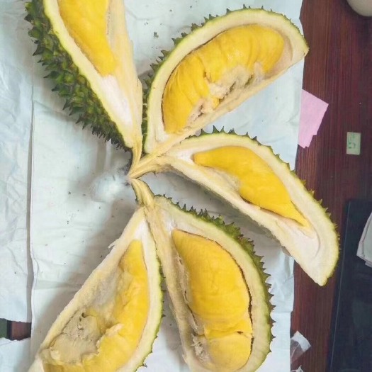 闽侯县猫山王榴莲D197 D197马来西亚猫山王