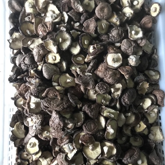 竹山县香菇片 湖北省十堰市竹山县 干香菇