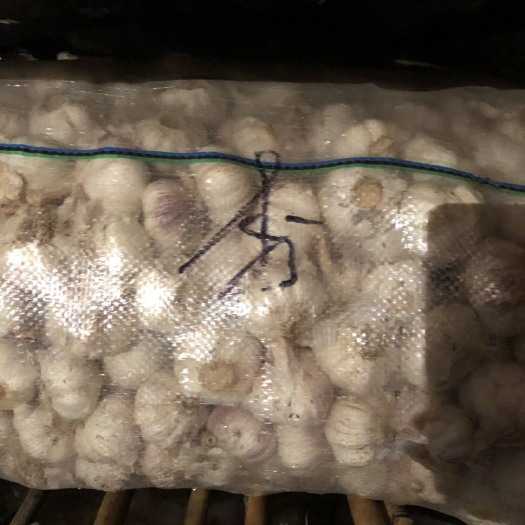 金乡县 大蒜老蒜蒜米料