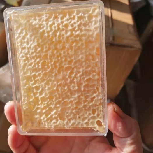 宝清县 蜂巢蜜 东北椴树巢蜜 天然封盖蜜