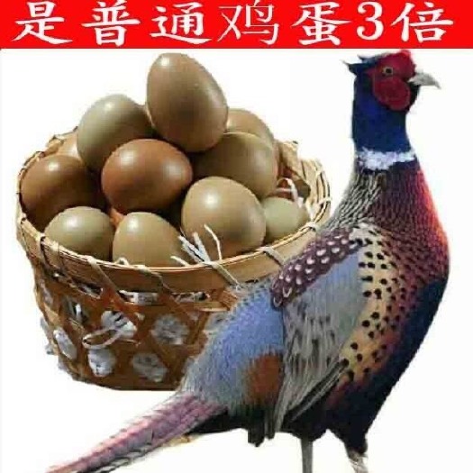 济南七彩山鸡蛋绿壳山鸡蛋农家散养新鲜鸡蛋土鸡蛋草鸡蛋山鸡蛋