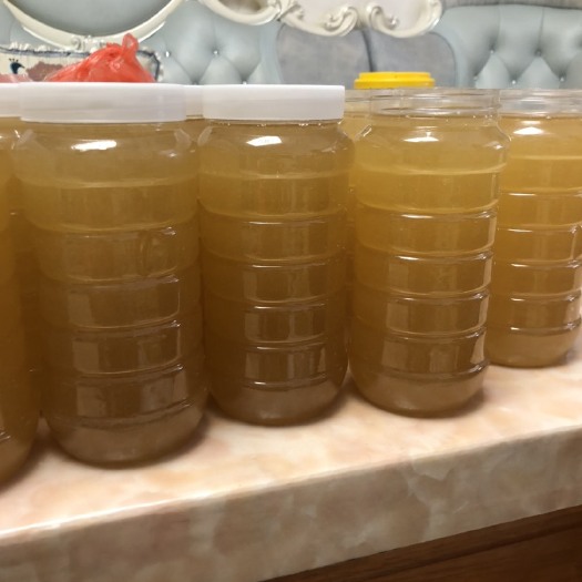 新丰县 天然土蜂鸭脚木花冬蜂蜜，浓度高，质量保证