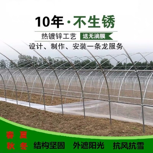 沭阳县 养殖大棚全套保温养殖棚全套 保温 温隔热养殖大棚骨架
