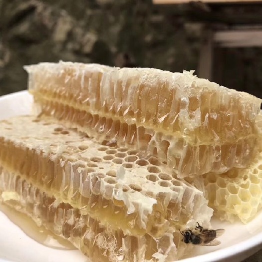 大埔县百花蜜  梅州花蜜