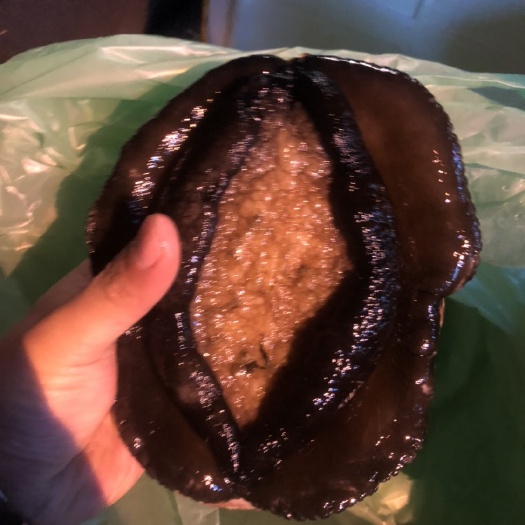 上海澳洲鲍鱼 鲜活水产